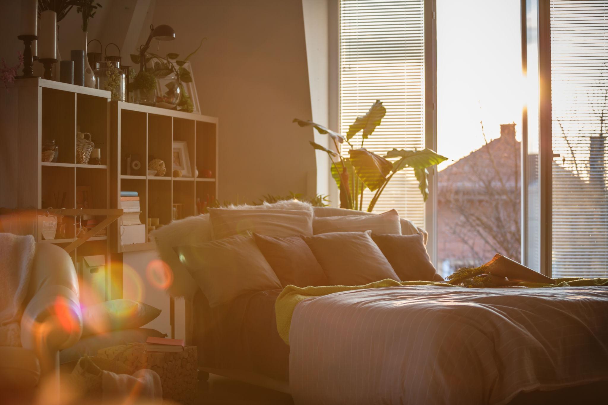 Cahaya Pertama dan Langkah Tenang Sebelum Dunia Terbangun